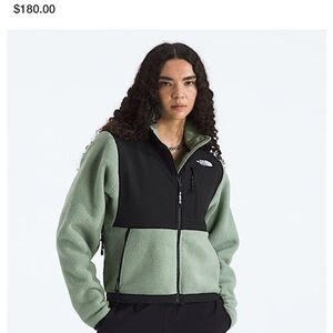 The North Face Women's Sage Green and Black Teddy Jacket